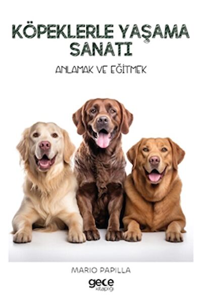 Gece Kitaplığı Hobi Kitapları