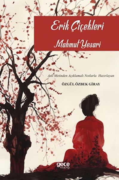 Gece Kitaplığı Roman