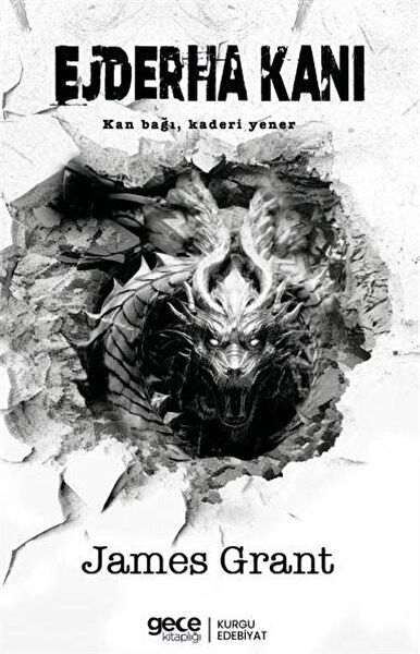 Gece Kitaplığı Roman