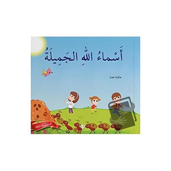 Türkiye Diyanet Vakfı Yayınları Din Kitapları