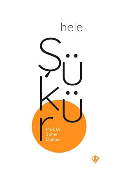 Türkiye Diyanet Vakfı Yayınları Roman