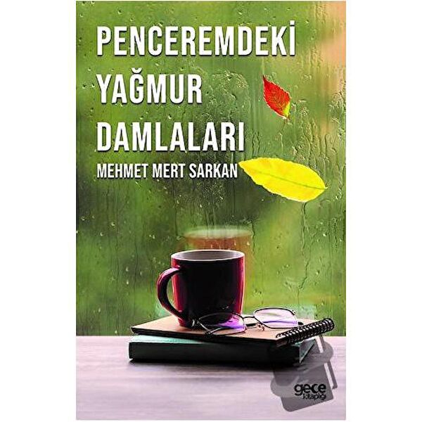 Gece Kitaplığı Roman