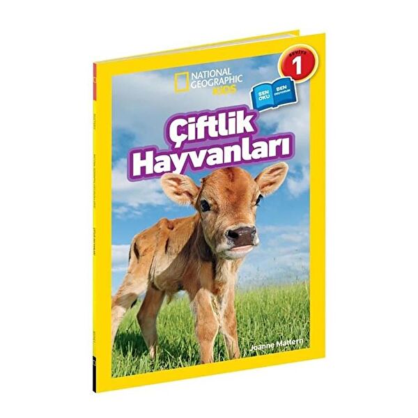 Beta Kids Aktivite ve Zeka Gelişim Kitapları