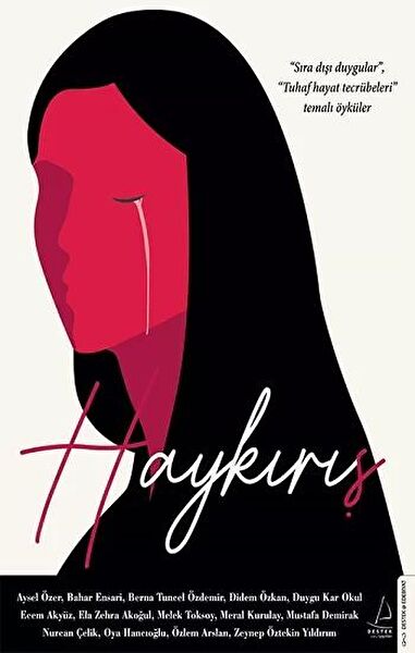 Destek Yayınları Roman