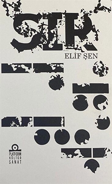 Platform Kültür Sanat Yayınları Roman