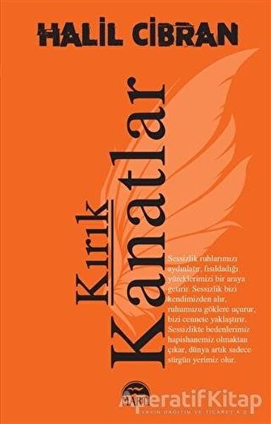 Martı Yayınları Felsefe