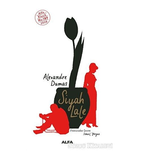 Alfa Yayınevi Roman