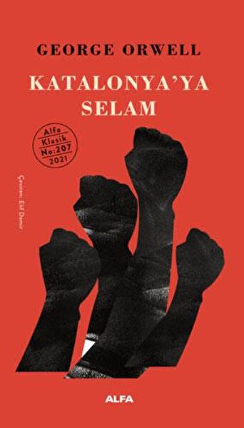 Alfa Yayınevi Roman