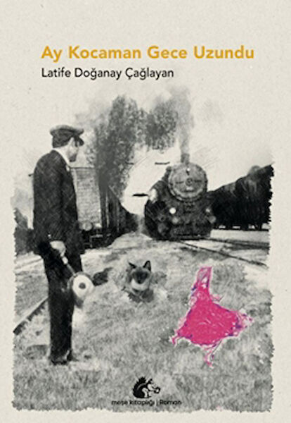 Meşe Kitaplığı Roman