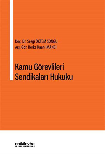 On İki Levha Yayınları Akademik Kitaplar