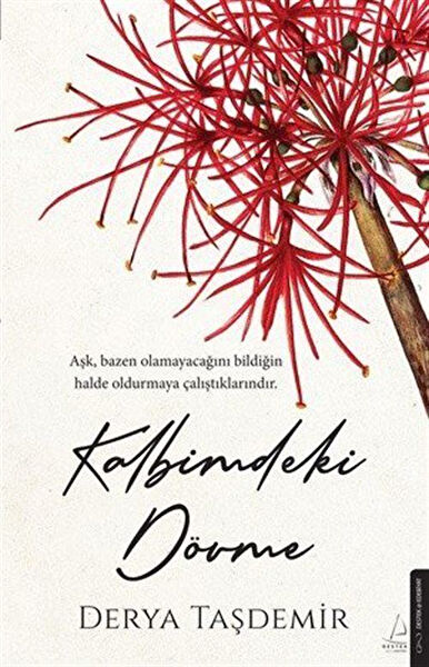 Destek Yayınları Roman