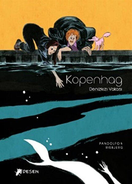 Desen Yayınevi Roman