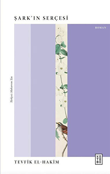 Ketebe Yayınları Roman