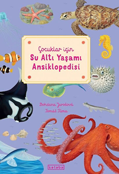 Ketebe Çocuk Aktivite ve Zeka Gelişim Kitapları