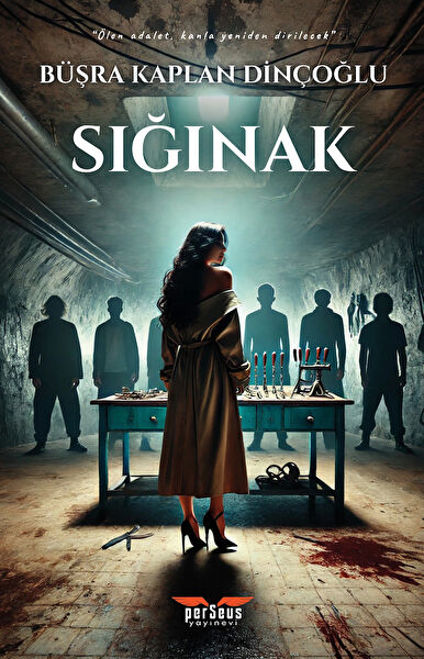 Perseus Yayınevi Roman
