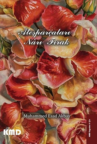 KMD Yayınları Şiir