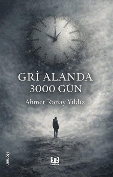 Vaveyla Yayıncılık Roman Kitapları
