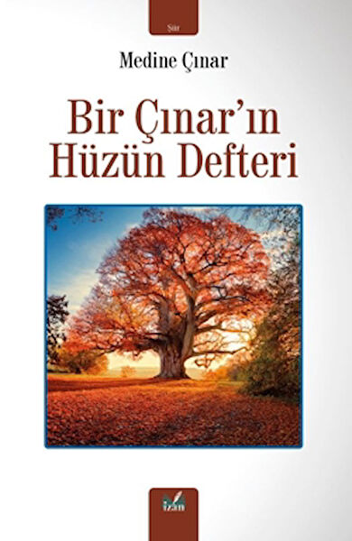 İzan Yayıncılık Şiir