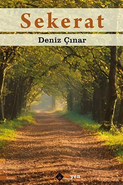 Aryen Yayınları Roman