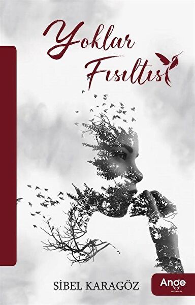 Ange Yayınları Roman