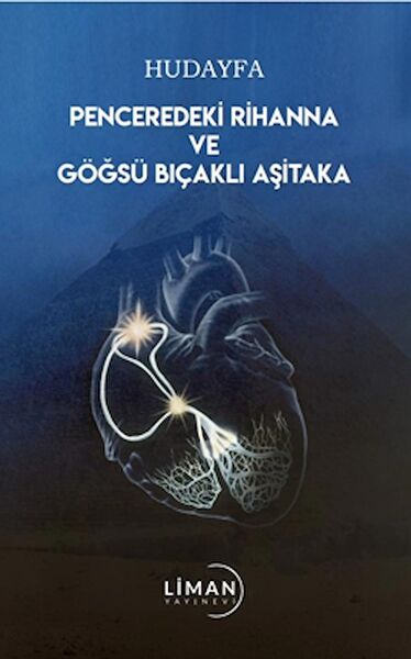 Liman Yayınevi Roman