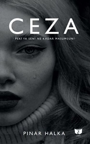 Ateş Yayınları Roman