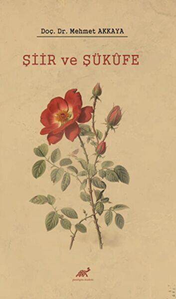 Paradigma Akademi Yayınları Edebiyat Kuramı