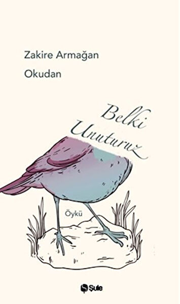 Şule Yayınları Öykü