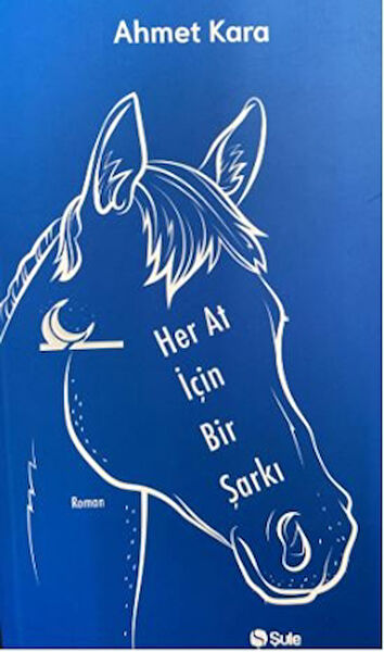 Şule Yayınları Roman