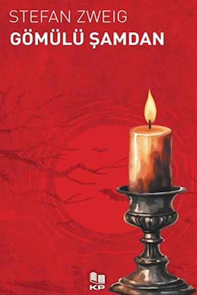 KİTAPPAZARI Yayınları Roman