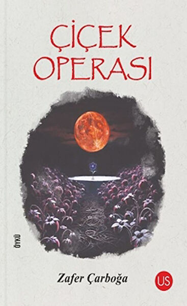 US Yayınları Öykü