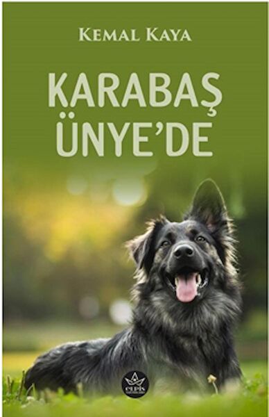 Elpis Yayınevi Roman