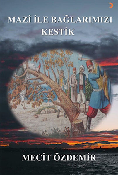 Cinius Yayınları Araştırma, Tarih