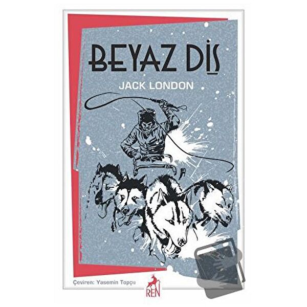 Ren Kitap Roman