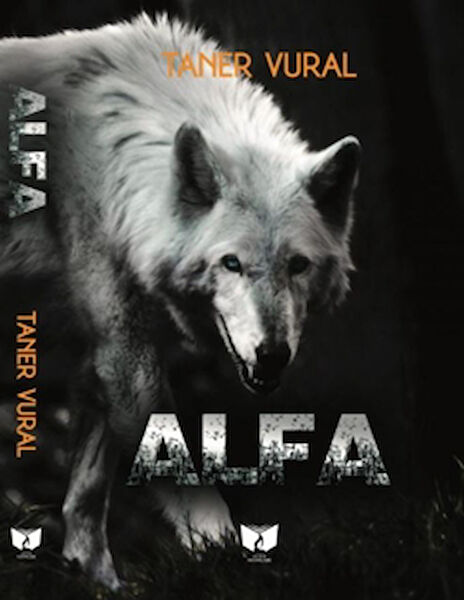 Ateş Yayınları Roman