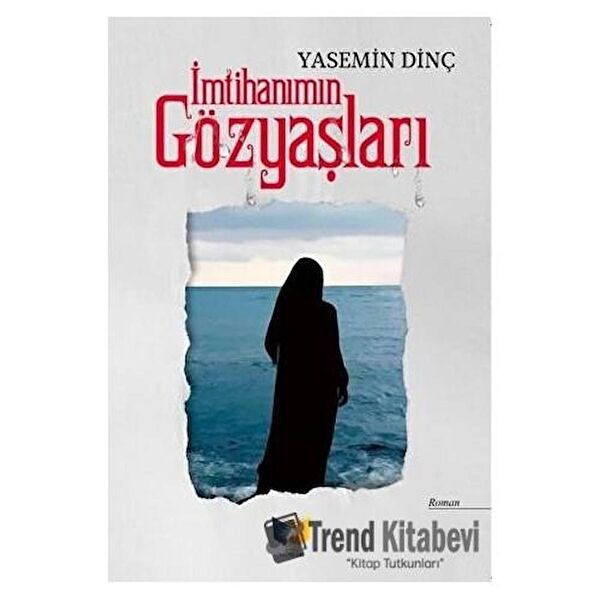 Ateş Yayınları Roman