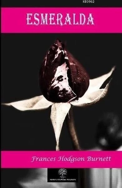 Platanus Publishing Yabancı Dilde Kitaplar
