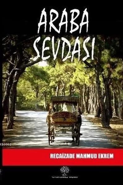 Platanus Publishing Roman Kitapları