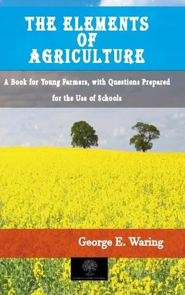 Platanus Publishing Yabancı Dilde Kitaplar