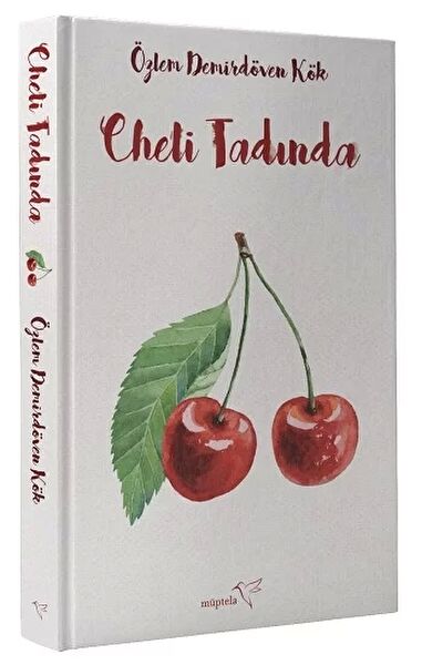 Müptela Yayınları Yemek Kitapları