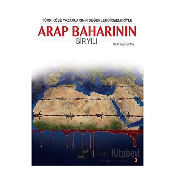 Cinius Yayınları Siyaset ve İdeoloji