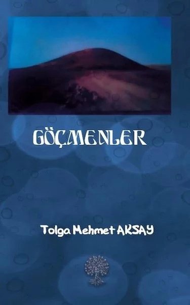 Platanus Publishing Roman Kitapları
