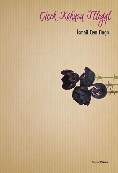 Mühür Kitaplığı Roman