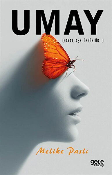 Gece Kitaplığı Deneme, İnceleme