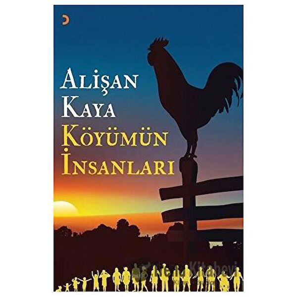 Cinius Yayınları Roman