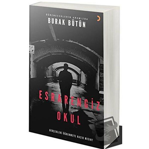 Cinius Yayınları Roman