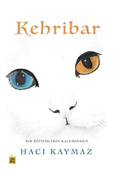 Çıra Yayınları Ders ve Yardımcı Kaynak Kitapları