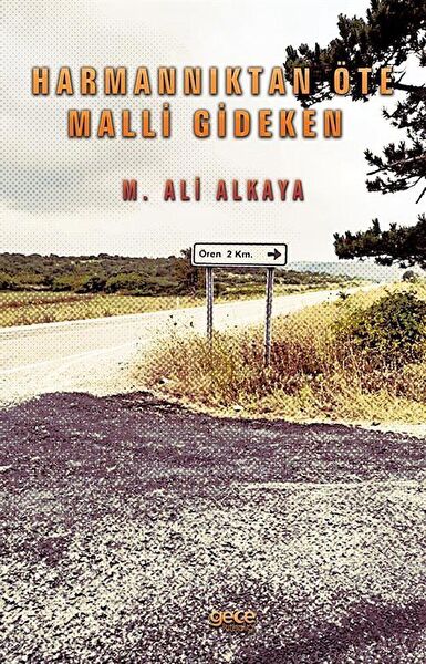 Gece Kitaplığı Roman