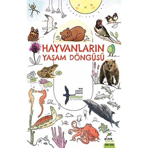 Elma Çocuk Sınav Hazırlık