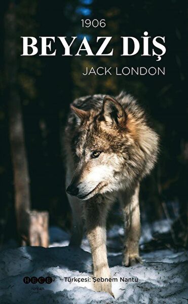 Hece Yayınları Roman